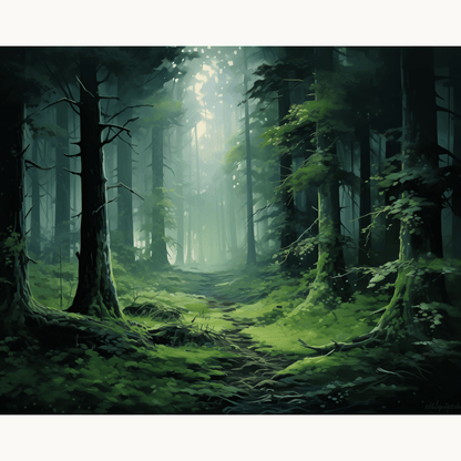 Misty Forest